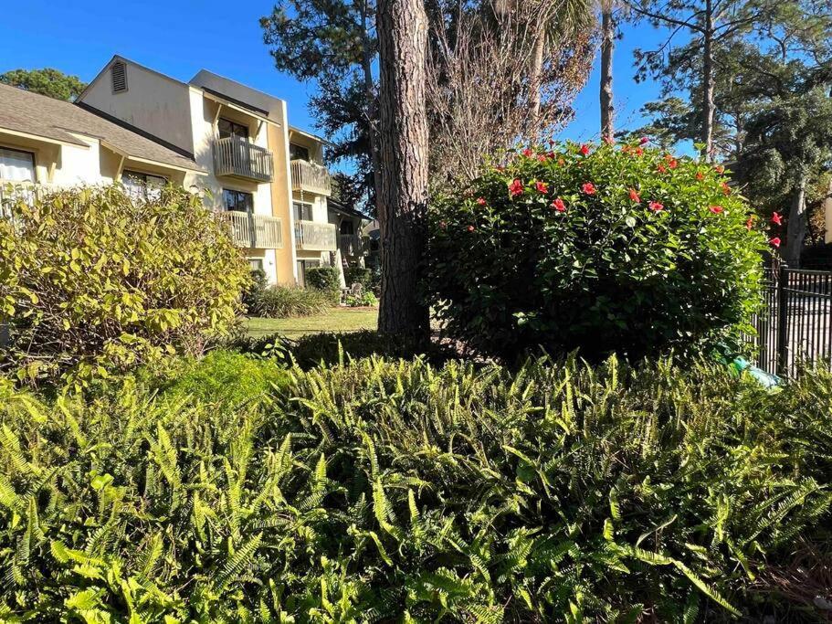 Spacious, Cozy Villa W/Parking In Coligny Villas Hilton Head Island Buitenkant foto