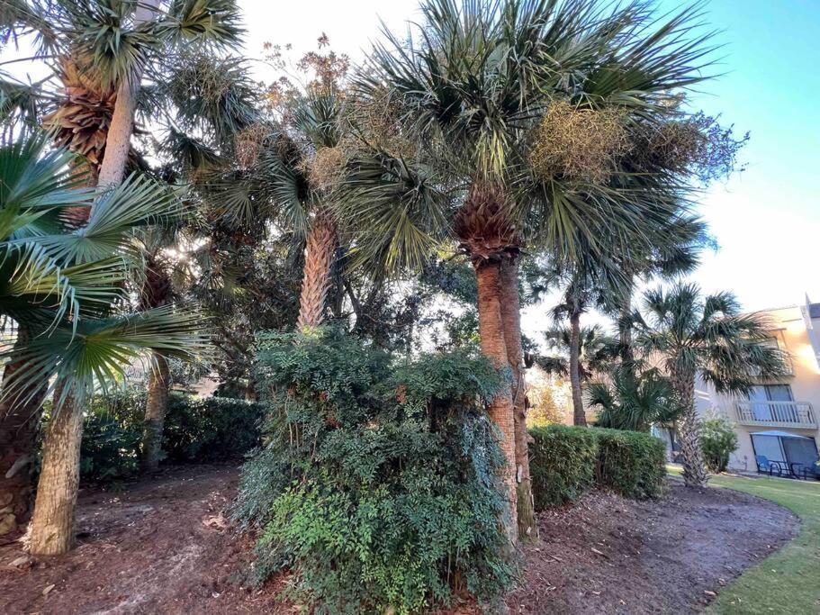 Spacious, Cozy Villa W/Parking In Coligny Villas Hilton Head Island Buitenkant foto